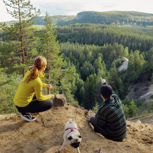 Two people and a dog out trekking, pauses and looks at the view